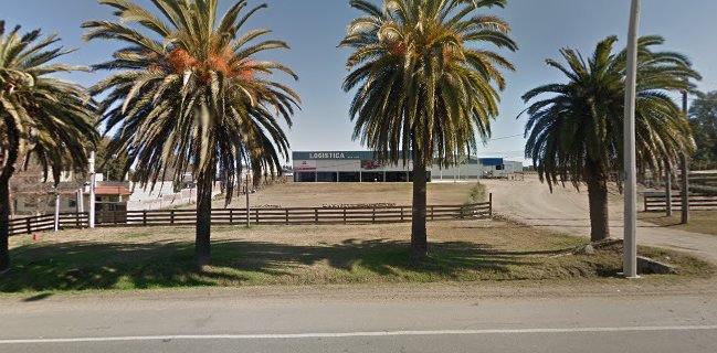 Caffe vivero motivos