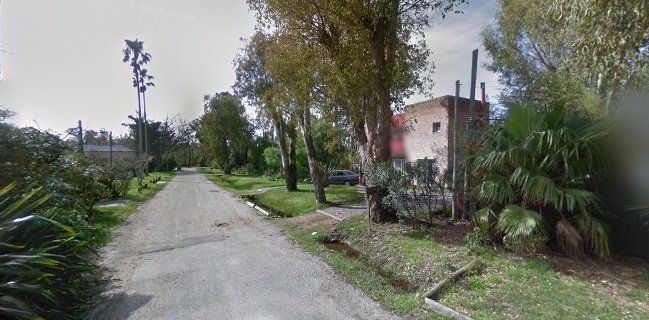 El Chancho y La Coneja