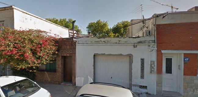 Cervecería Shelter - Gastronomía y hostelería