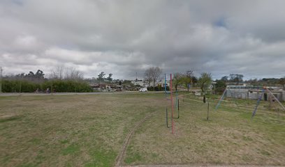 Plaza porción de pizza