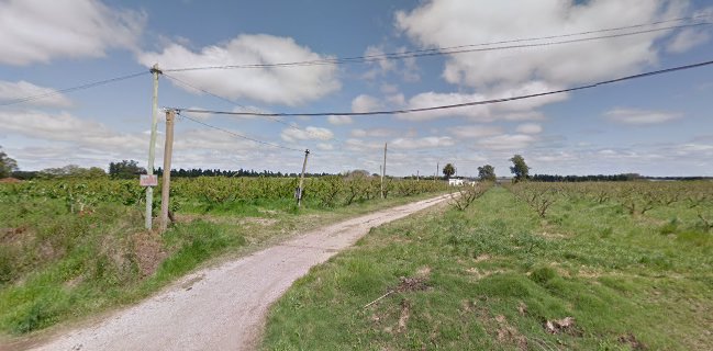 Feria Organica Chacra Melilla