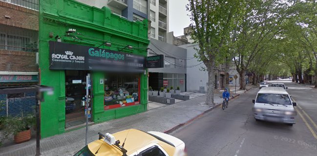 Opinii despre Heladería La Chicharra în Montevideo - Gastronomía y hostelería