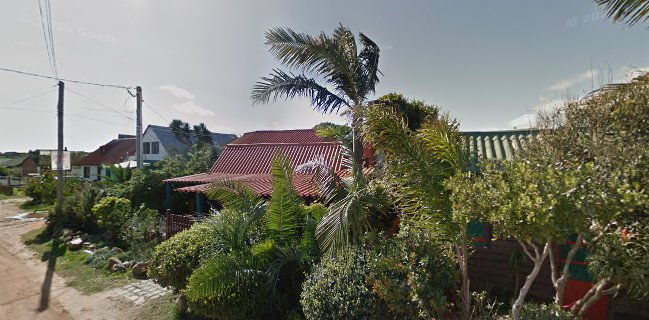 Terral Pizzería & Bar