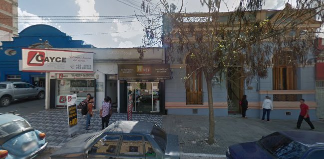 Coco Ice Helados Artesanales