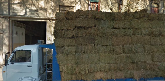 Productos equinos y de campo Gonzalez Lamela