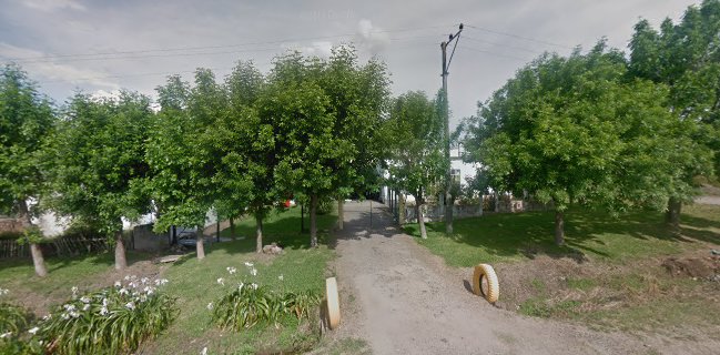 Pastelería Virginia