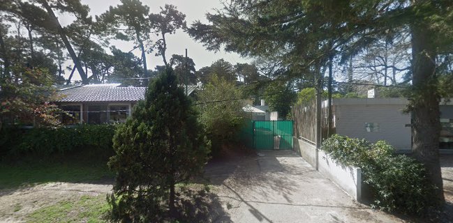 Pizzería Tomate y Queso