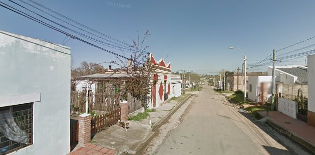 Comentarii opinii despre Ricos Platos