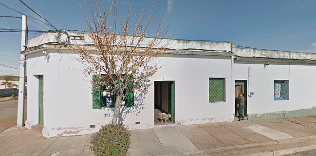 DeTodito Con Harinas