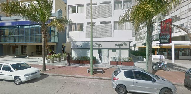 Gelateria Arlecchino