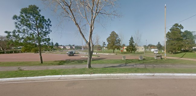 Timbó, cocina en movimiento