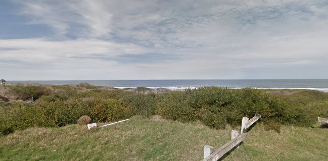 Carritos de Leo y Margarita