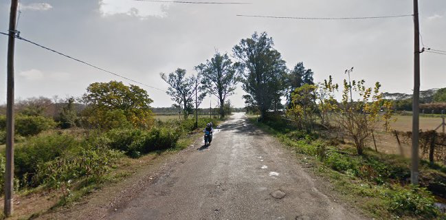 Cafetería lo de Bolí