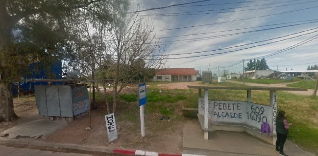 Feria Flores Silvestres