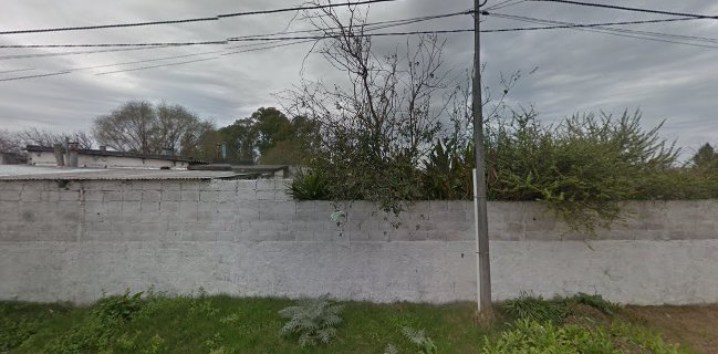 Carrito Los Puchurruminos