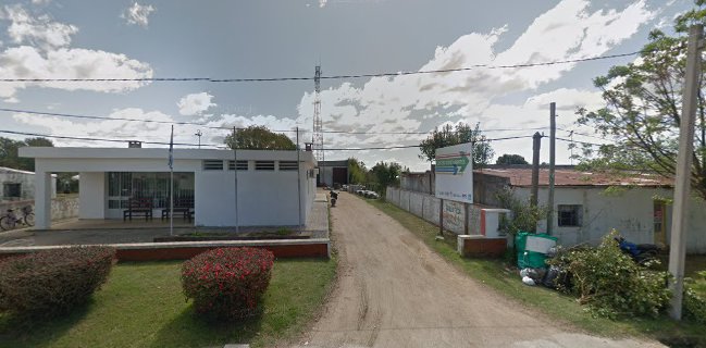 Pizzería y rotisería 19