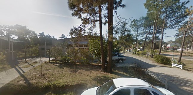 Don Us Company Pinar