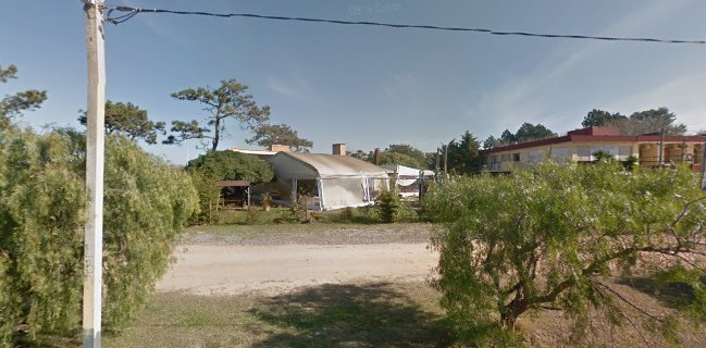 Jardín Cervecero Pinar