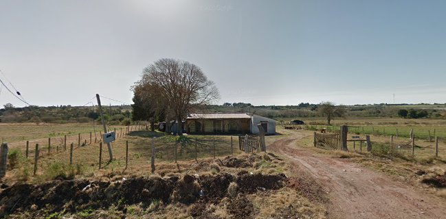 Comidas Al Paso Camio De Los Argentinos