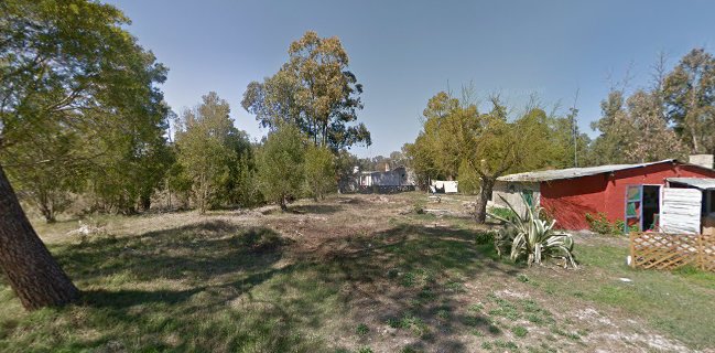 El Dulce Amor de Dios