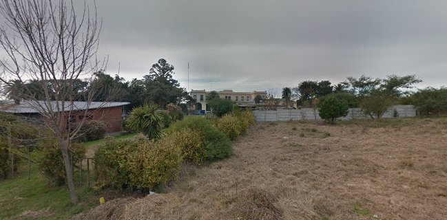 Sabores de la colonia