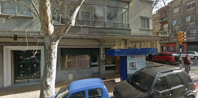 100 % Lehmeyun ( Centro )