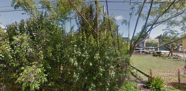 Bochas Cardal - Florida