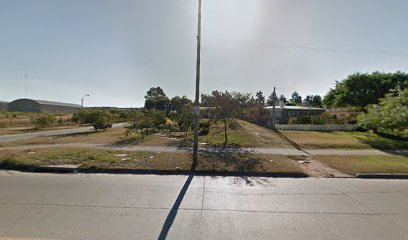 Mooncakes tortas y postres