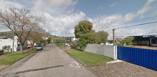 Abasto de carnes La Reina