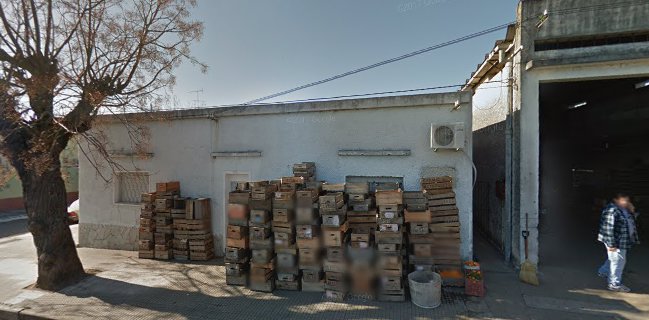 Fruteriay verduleria somma