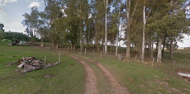 Opinii despre Restaurante Blanquillo în Durazno - Gastronomía y hostelería