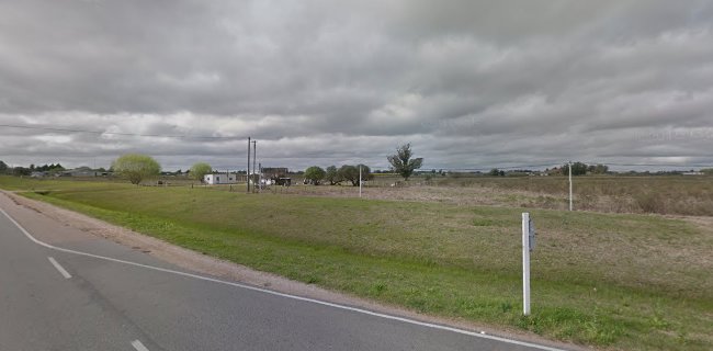 La Pizza Canelón Chico - Gastronomía y hostelería