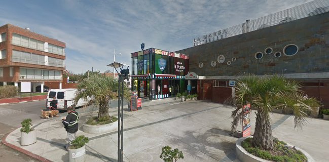 Gelatería Il Porto - Helados artesanales