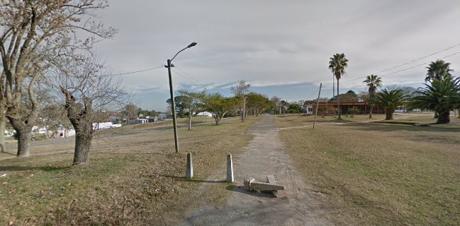 LA NUEVA :: Parrilla