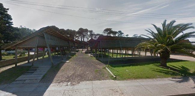 Espacio Feria Vecinal La Paloma