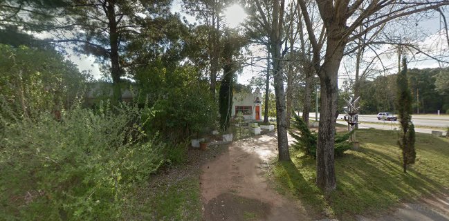 Mandala Pizza - Punta Ballena, solanas