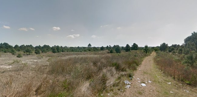 Pizzería El Buen Sabor