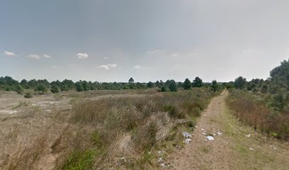 Pizzería El Buen Sabor