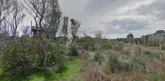 Tao Bosque - Sushi & Cine