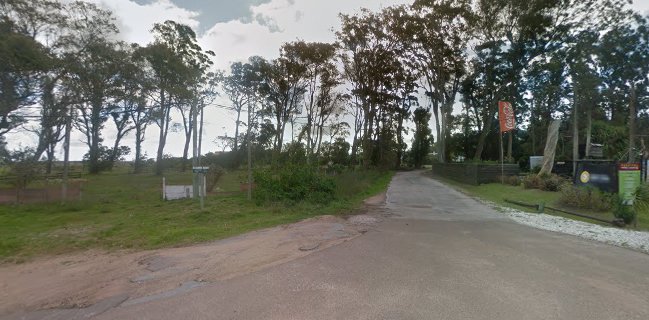 Punta Ballena Market