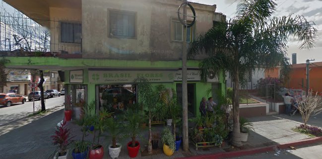 Opinii despre Floreria "Brasil Flores" în Rivera - Gastronomía y hostelería
