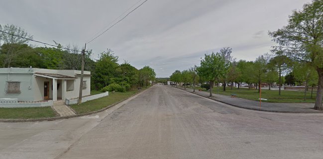 Heladería y pizeria lo del mono