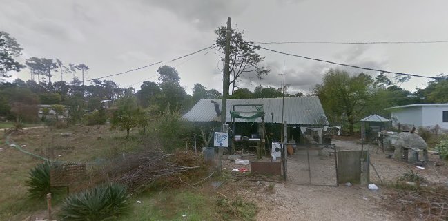 Pescado Fresco El Diente