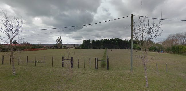 Cafeteria Y Rotiseria Los Espinillos