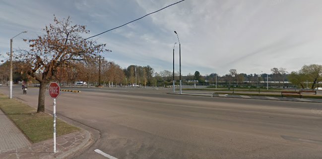 Paseo de los Artesanos