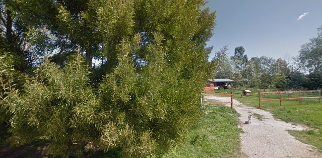 EL LOQUILLO PARRILLADA, CAFÉ, BAR, HELADOS Y ENTRETENIMIENTOS