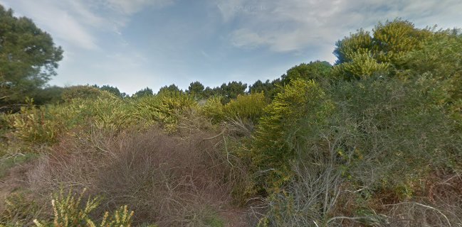 Gargola José Ignacio