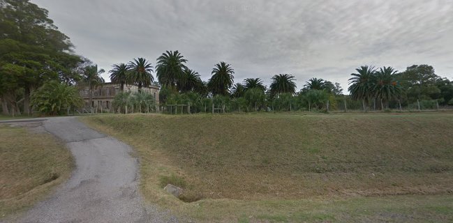 Opinii despre Viejo Hotel Solis în Maldonado - Gastronomía y hostelería