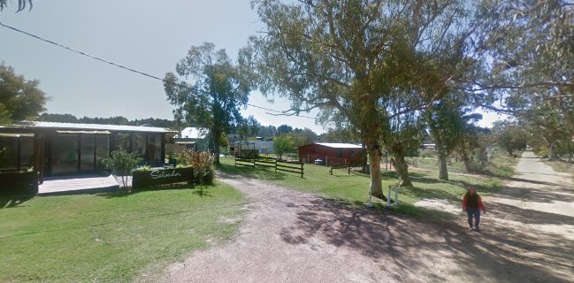 Salvador Cuchilla Alta