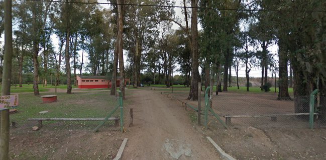 Chivitel 33 Sucursal Olimar